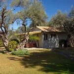 Poly's Lefkada Apolpaina