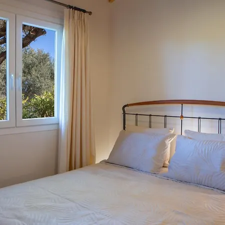 Poly's Lefkada Apartment Apolpaina