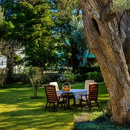 Poly's Lefkada