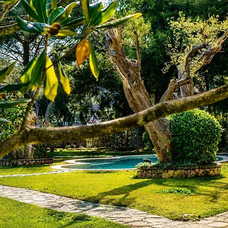 Διαμέρισμα Poly's Lefkada