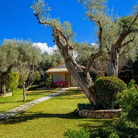 Poly's Lefkada *